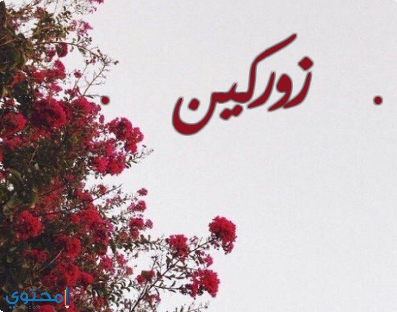 اسم بحرف ز - اجمل اسماء بحرف ز 659