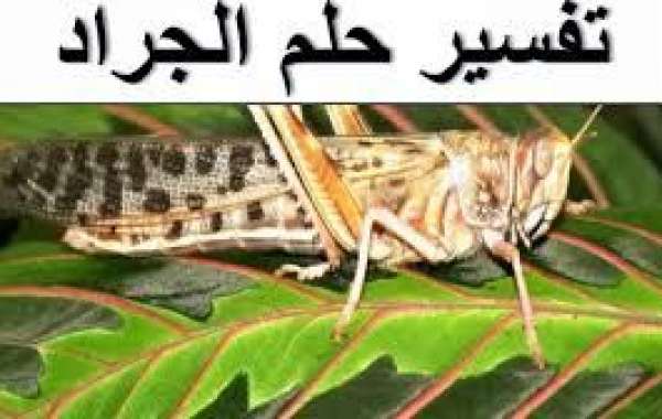 رؤية الجراد في المنام , ماذا تدل رؤية الجراد في الحلم