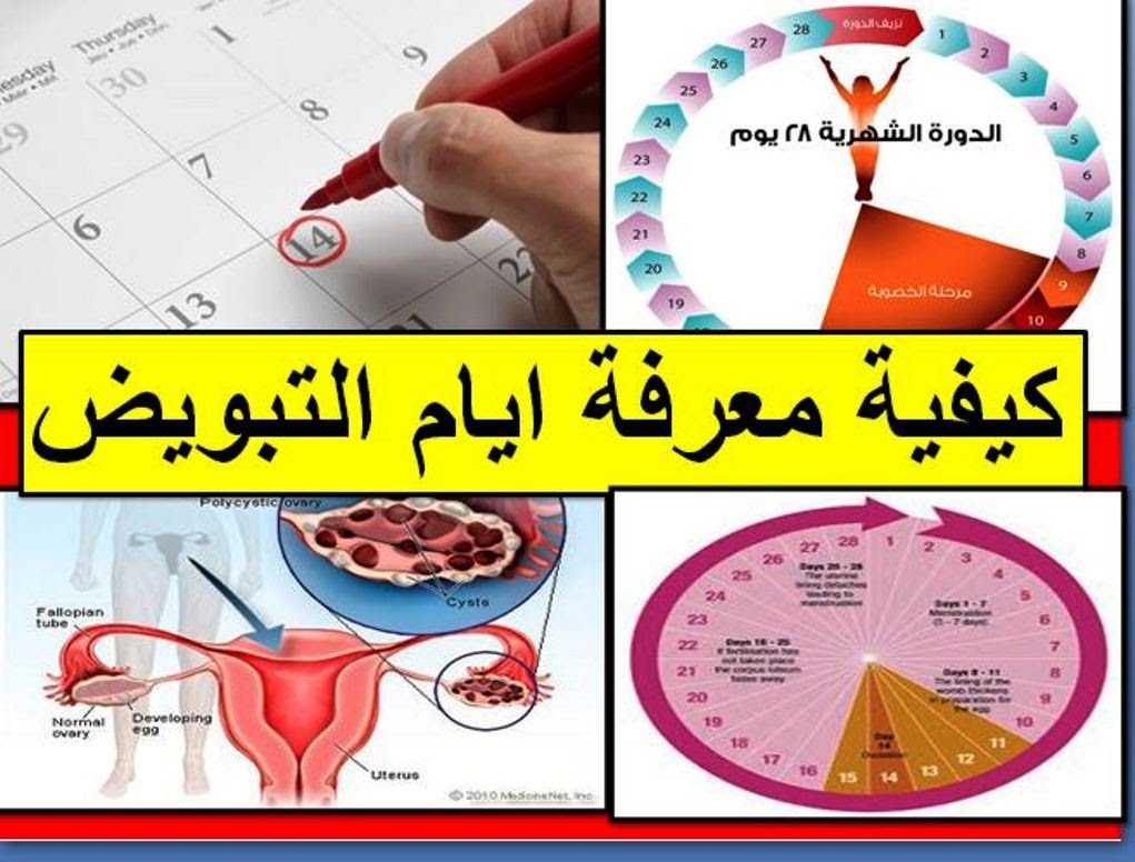 ازاى اعرف ايام التبويض , سر خاص يخص النساء