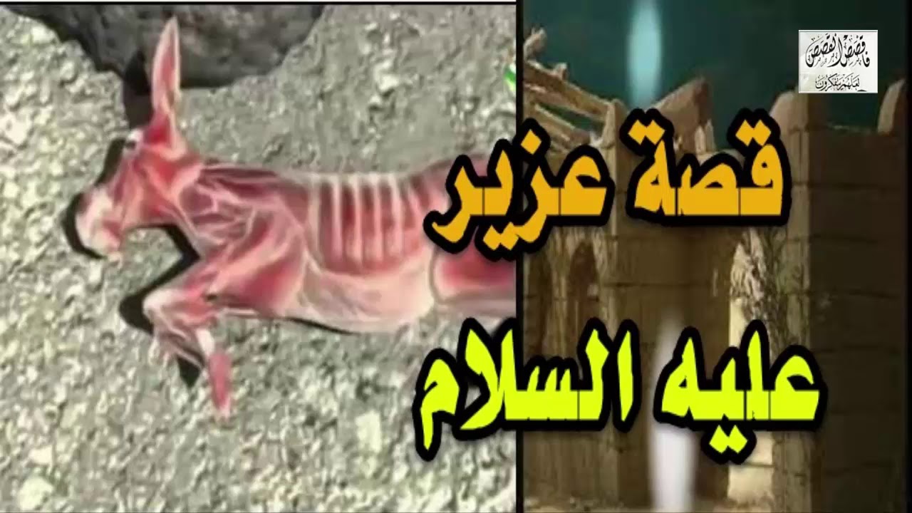 هل عزير نبي ام رجل صالح , قصة عزيز في الدين الاسلامي