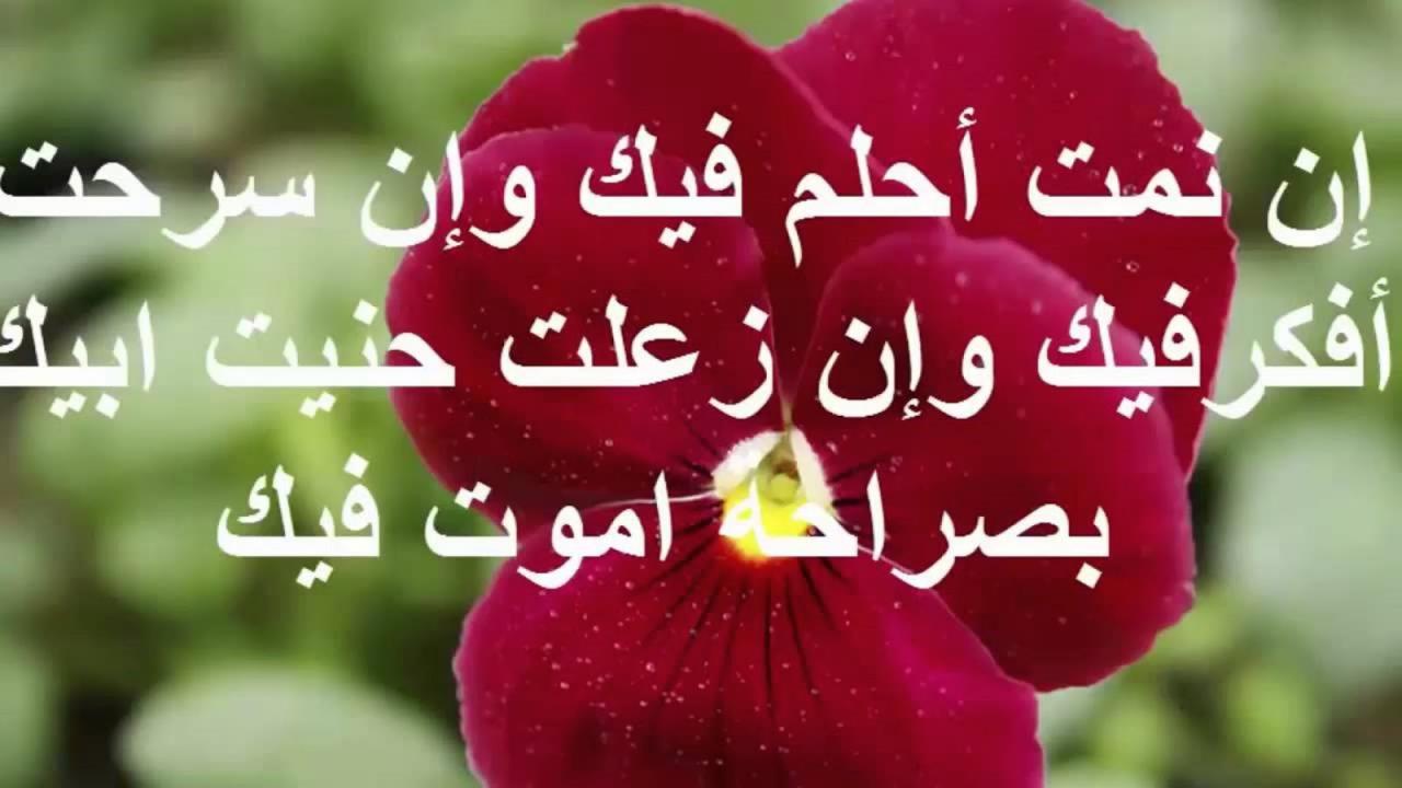 رسالة قصيرة للحبيب - اروع الرسالة عن الحب والعشق 1143 12