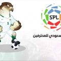 الدوري السعودي تردد برو سبورت نايل سات 2020 - التردد الجديد لبرو سبورت خولة ادهم
